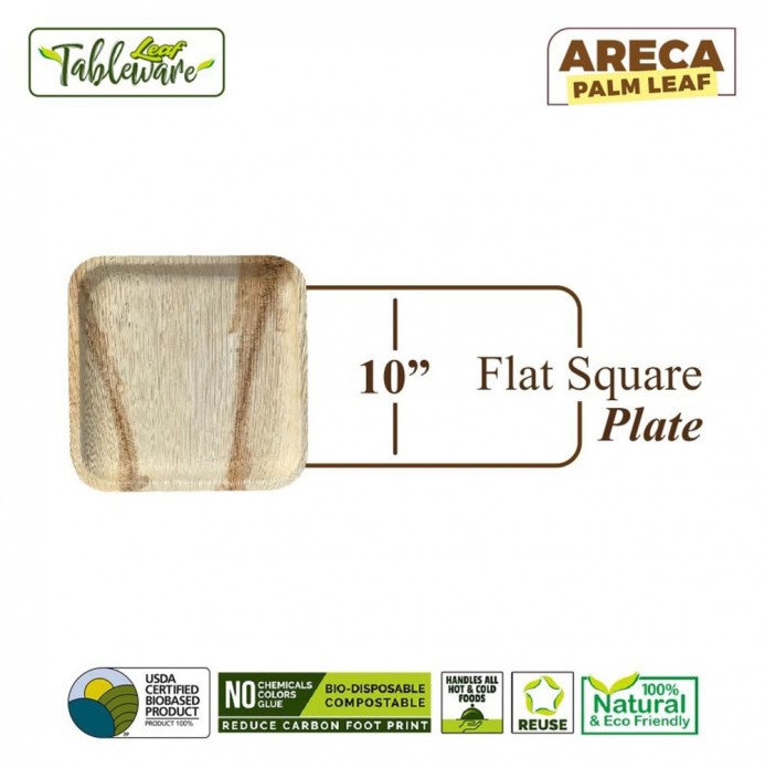 10" Flat Square Dinner Plate